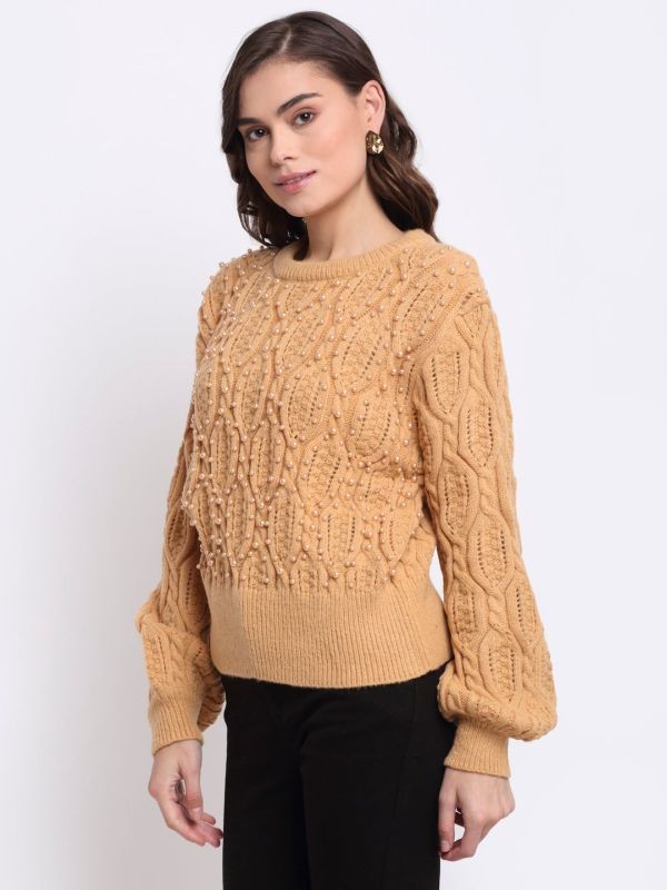 Global Republic WOMEN BROWN ROUND NECK SOLID KNIT PULLOVER