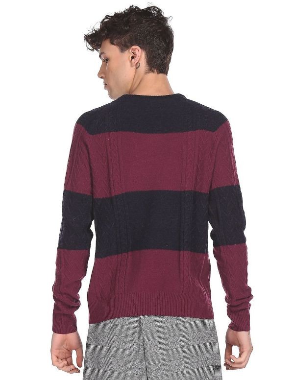 U.S. POLO ASSN.Men Navy And Purple Crew Neck Cable Knit Sweater